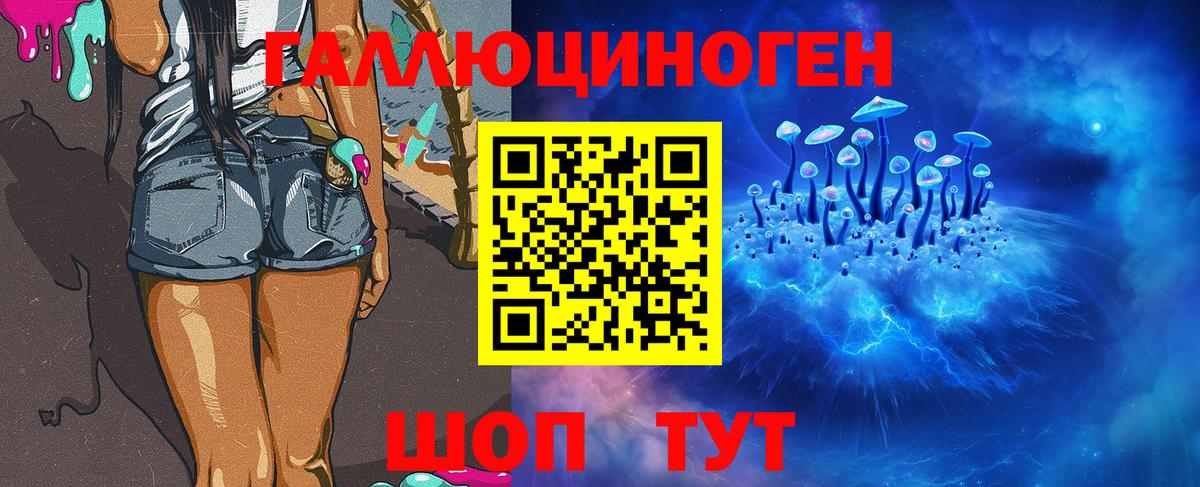 Псилоцибиновые грибы GOLDEN TEACHER  наркота  Канаш  Вход с VPN 